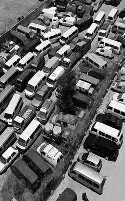 صورة لمجموعة من الفانات