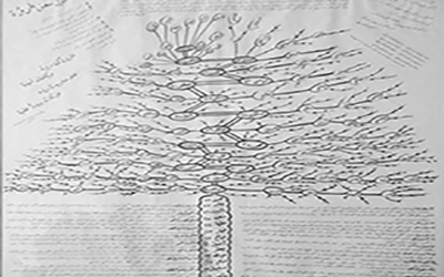 شجرة عائلة آل مروة (موقع بلدية إرزي)